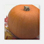 Autumn Pumpkin Refrigerator Magnet