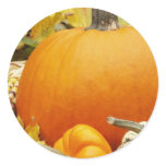 autumn Pumpkins Sticker