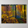 Autumn rain , poster