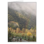 Autumn Rainbow in Pine Mountain Club cards