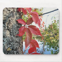 Autumn Red Ivy Mousepad