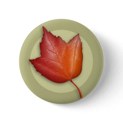 Autumn Red Maple Leaf Button by jamieco