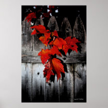 Autumn Red Posters