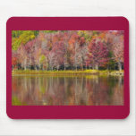 Autumn Reflection Mouse Pads