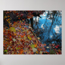 Autumn Reflection ,poster