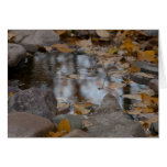 Autumn Reflections Greeting Card
