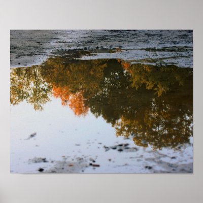 Autumn Reflections In A Puddle Nature Poster