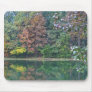 Autumn Reflections on Lake Mouse Pads
