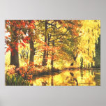 Autumn Reflections Poster