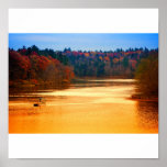 Autumn Relaxation