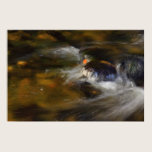 Autumn River Print
