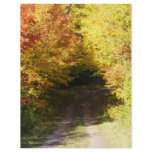 Autumn road personalized flyer