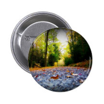 Autumn Road Pins