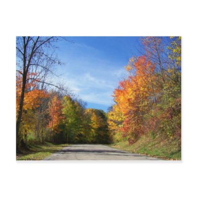 autumn road by PhotoLisa