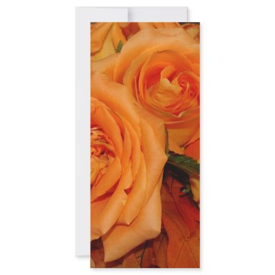 Autumn Roses Rack Cards by knotth