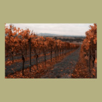 Autumn Rows posters