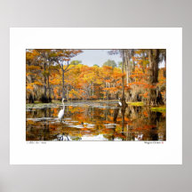 Autumn  Scene - Caddo Lake Print