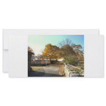 Autumn Scene Rack Cards