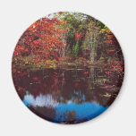 Autumn Scenery Magnet