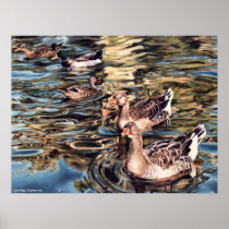Autumn Song Print