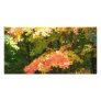 autumn splendor photo card template