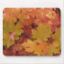 Autumn Splendour (1)  Mouse Pad