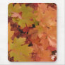 Autumn Splendour (2)  Mouse Pad