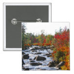 Autumn Splendour / Thanksgiving Buttons