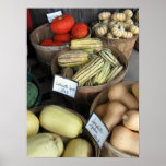 Autumn Squash, Paley's posters