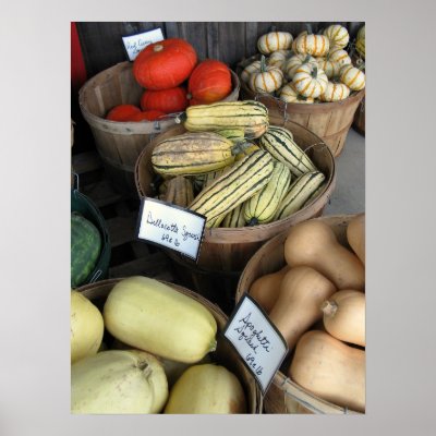 Autumn Squash, Paley's Print by jennyhansell