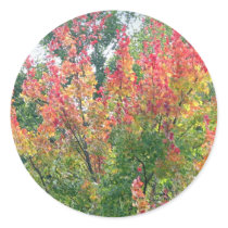 Autumn Stickers