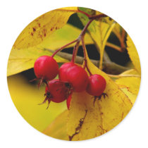 autumn stickers