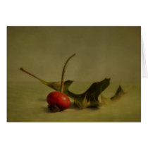 Autumn still life