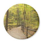 Autumn Stillness Magnet