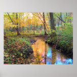 Autumn Stream Print
