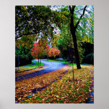 Autumn Street Poster