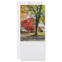 Autumn Street With Red Tree