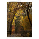 Autumn Stroll through Greenough Park Greeting Cards