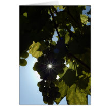 Autumn Sun Greeting Cards