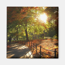 Autumn Sun in Central Park, New York City Refrigerator Magnets