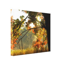 Autumn Sunrise Stretched Canvas Print
