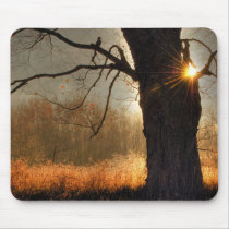 Autumn Sunrise Mousepads