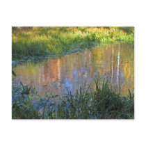 Autumn Swamp Reflections