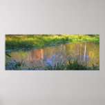 Autumn Swamp Reflections