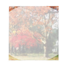 Autumn Sycamore Tree Memo Note Pad