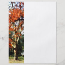 Autumn Sycamore Tree Personalised Flyer