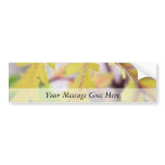 Autumn Tansy Leaves