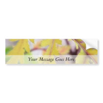 Autumn Tansy Leaves