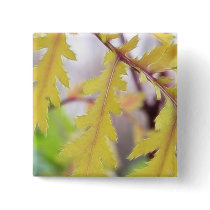 Autumn Tansy Leaves