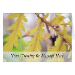 Autumn Tansy Leaves